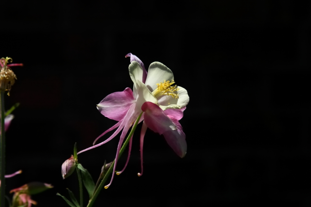 2012 05 20 3738